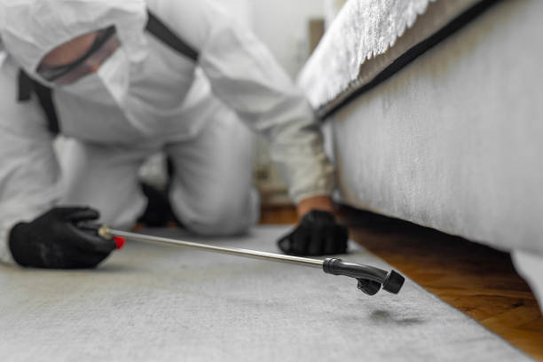 Professional Emergency Pest Control technician working in Wayne County County, MO